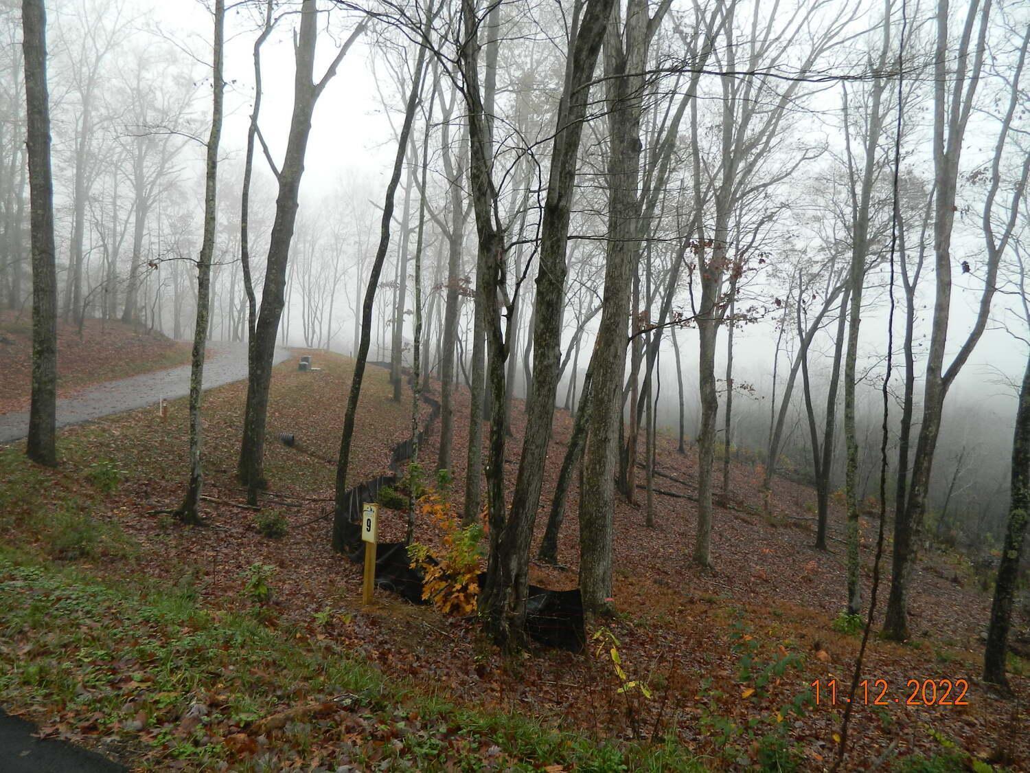 Couples Retreat: King Bed:Hot Tub:Firepit & More Blue Ridge Eksteriør bilde